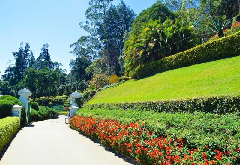 Green Mount View Two Bed Room Apartment Nuwara Eliya Eksteriør billede